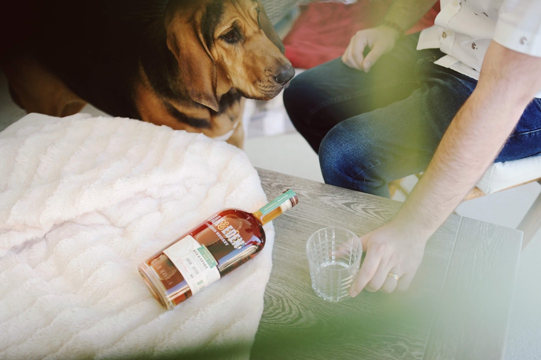 dog resting near medication bottle owner